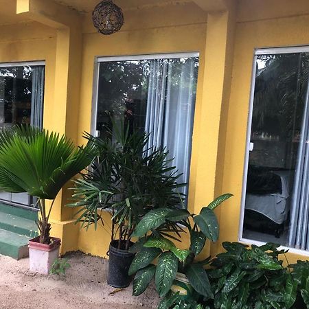 Hotel Pousada Cruzeiro Do Sul São Miguel do Gostoso Exterior foto